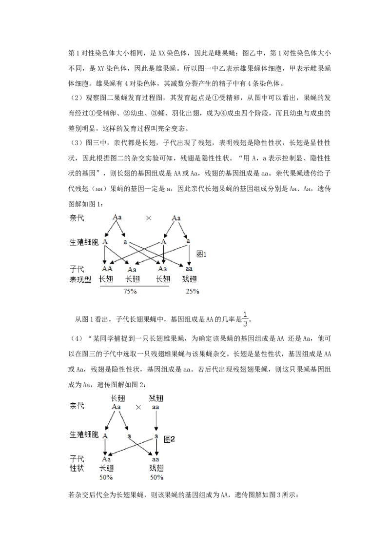 山东省德州市2019年中考生物真题试题（含解析）(1)_山东历年中考真题_山东省历年中考真题2013~2024_初中生物历年真题（2013-2024）