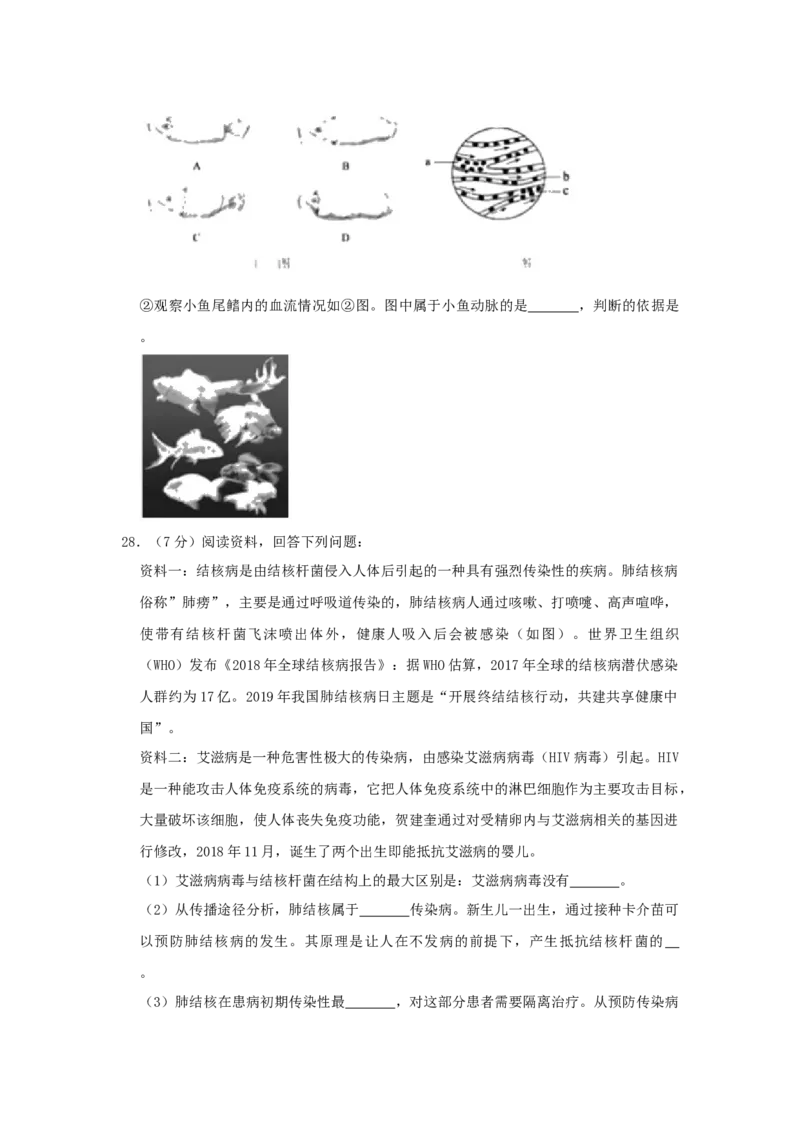 山东省德州市2019年中考生物真题试题（含解析）(1)_山东历年中考真题_山东省历年中考真题2013~2024_初中生物历年真题（2013-2024）