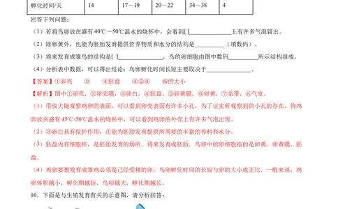7.1.4鸟的生殖和发育（基础练）-（人教版）（解析版）_初中全科电子版试卷练习试题_生物_生物8下练习_人教生物8年级下课时练习51份