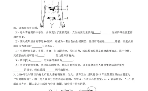 4.6.4激素调节（原卷版）_初中全科电子版试卷练习试题_生物_生物人教版7下练习_人教生物7年级下课时练习40份_第2套七年级生物下册课时练习（人教版）20份