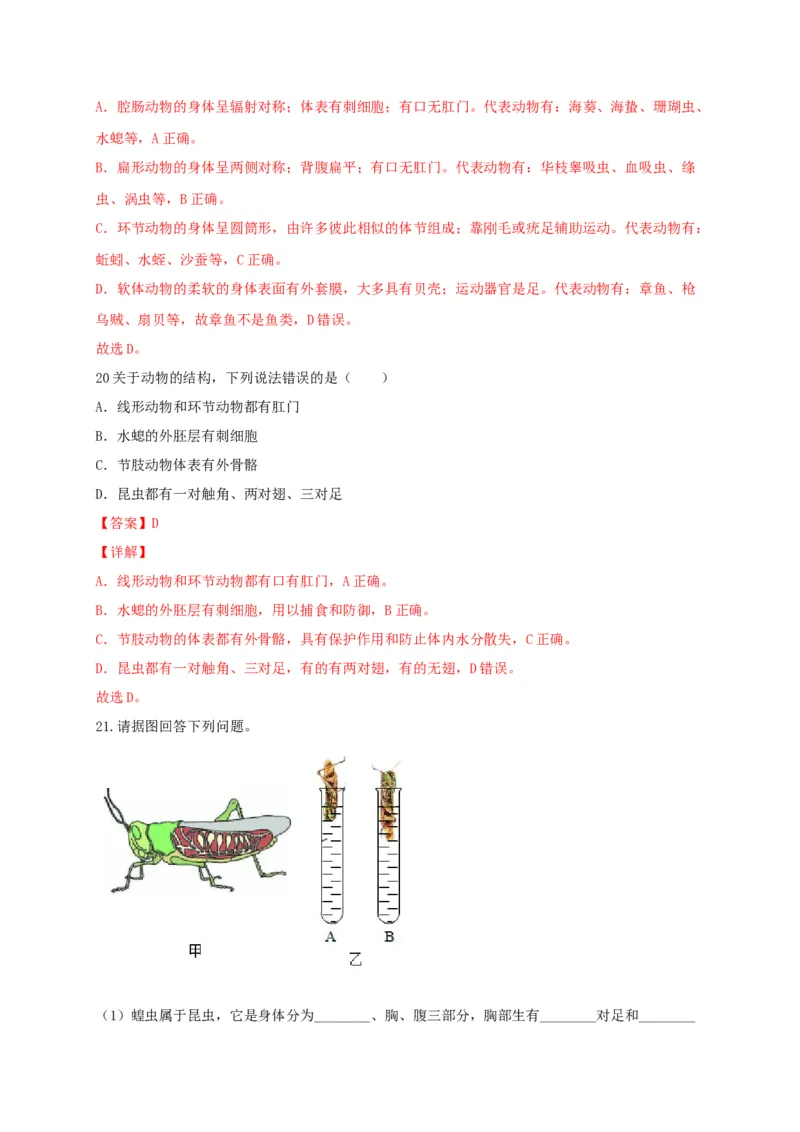 专题01无脊椎动物-（人教版）（解析版）_初中全科电子版试卷练习试题_生物_生物8上练习_人教生物8年级上专项练习23份_第1套八年级生物上册专项（人教版）09份