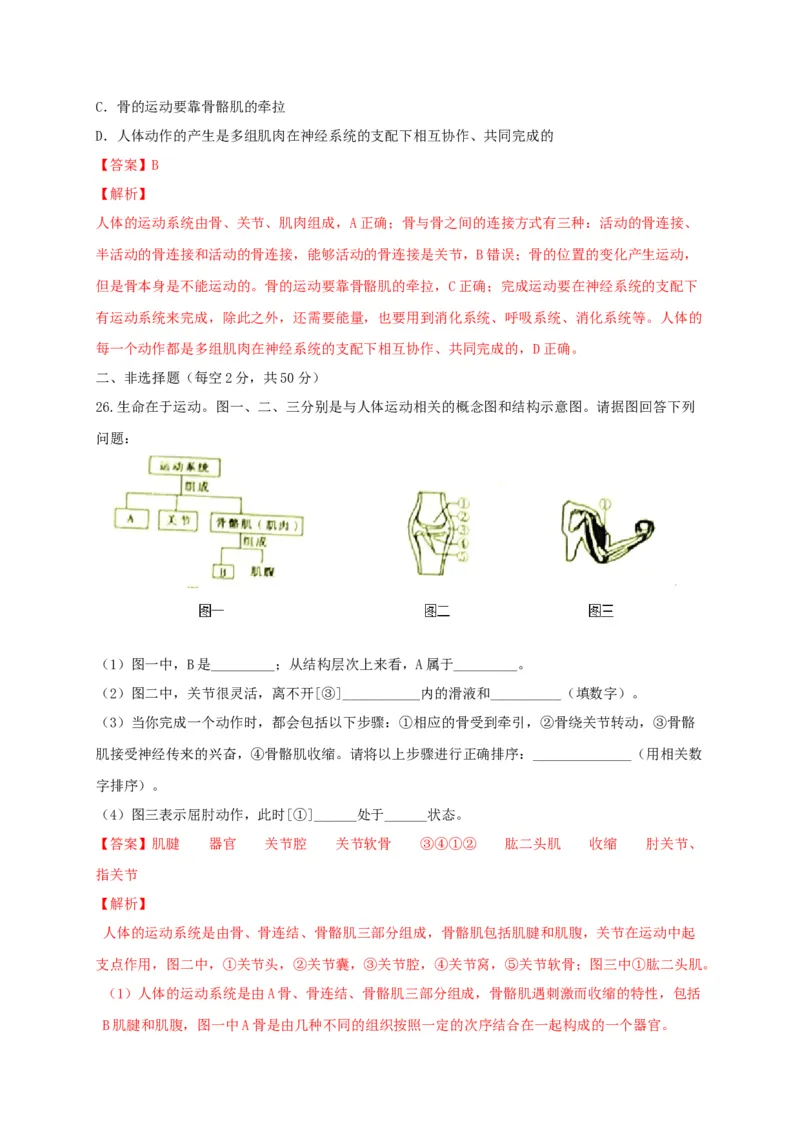 5.2章末检测（备作业）-（人教版）（解析版）_初中全科电子版试卷练习试题_生物_生物8上练习_人教生物8年级上单元试卷48份_第4套八年级生物上册单元试卷（人教版）08份