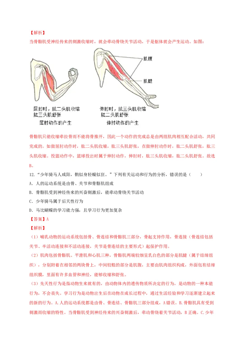 5.2章末检测（备作业）-（人教版）（解析版）_初中全科电子版试卷练习试题_生物_生物8上练习_人教生物8年级上单元试卷48份_第4套八年级生物上册单元试卷（人教版）08份