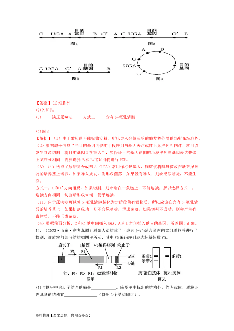 专题24基因工程（解析版）_通用版（老高考）复习资料_2024年复习资料_完备战2024年高考生物一轮复习抢分特训（全国通用）_教师版（含答案解析）