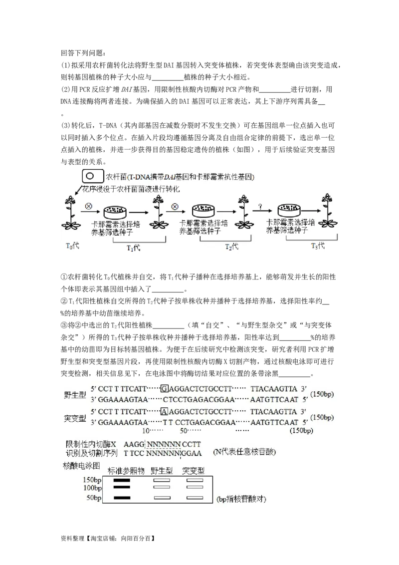 专题24基因工程（解析版）_通用版（老高考）复习资料_2024年复习资料_完备战2024年高考生物一轮复习抢分特训（全国通用）_教师版（含答案解析）
