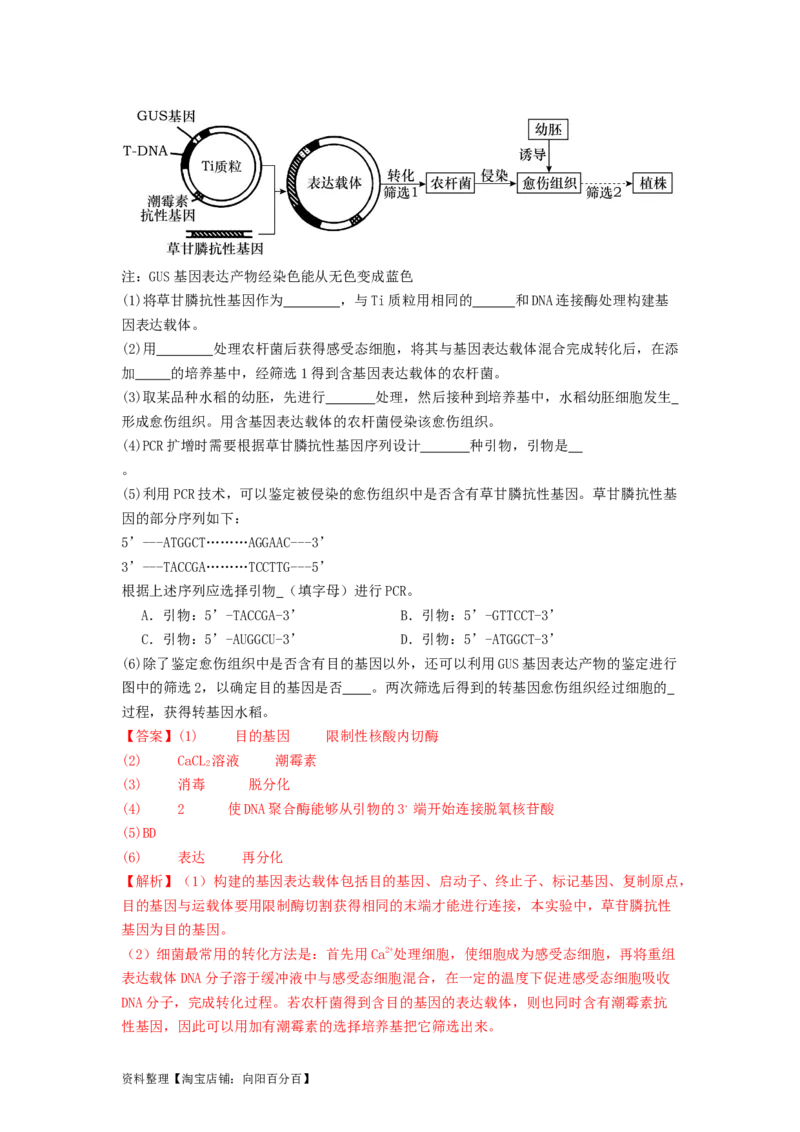 专题24基因工程（解析版）_通用版（老高考）复习资料_2024年复习资料_完备战2024年高考生物一轮复习抢分特训（全国通用）_教师版（含答案解析）