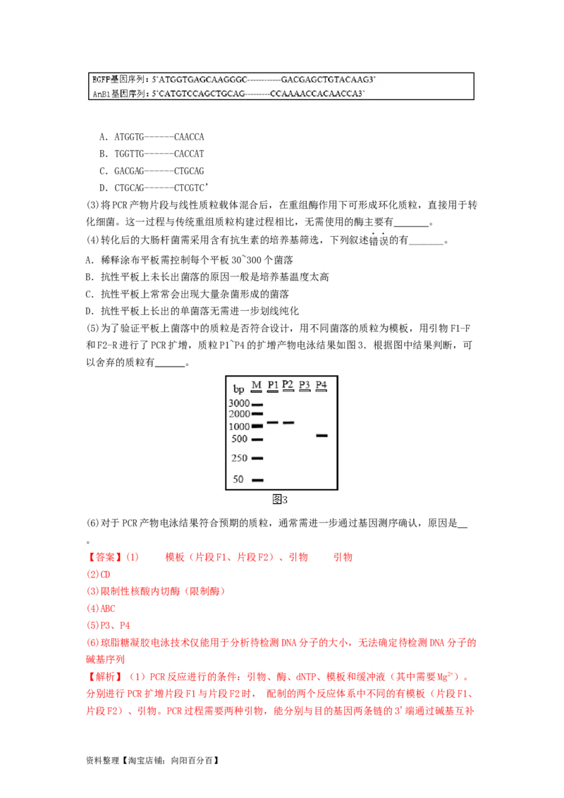 专题24基因工程（解析版）_通用版（老高考）复习资料_2024年复习资料_完备战2024年高考生物一轮复习抢分特训（全国通用）_教师版（含答案解析）