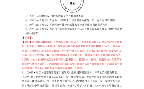 专题24基因工程（解析版）_通用版（老高考）复习资料_2024年复习资料_完备战2024年高考生物一轮复习抢分特训（全国通用）_教师版（含答案解析）