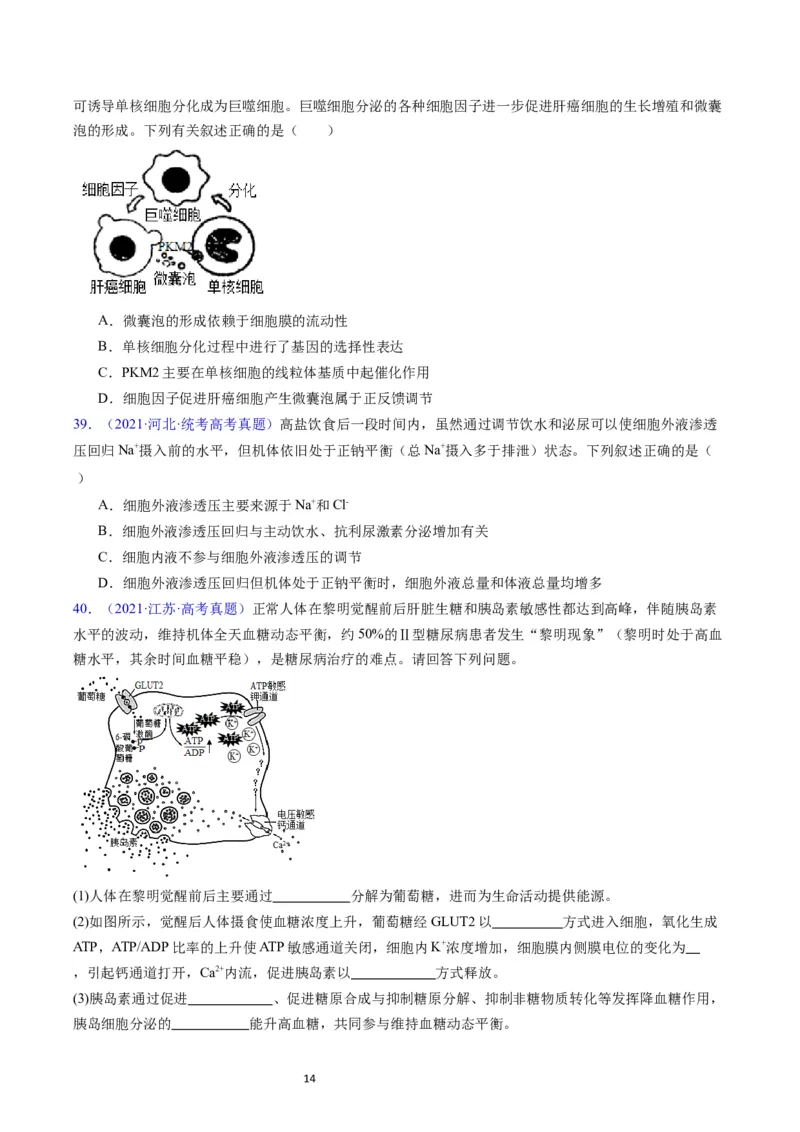 专题15体液调节-学易金卷：五年（2019-2023）高考生物真题分项汇编（全国通用）（原卷版）_通用版（老高考）复习资料_2024年复习资料
