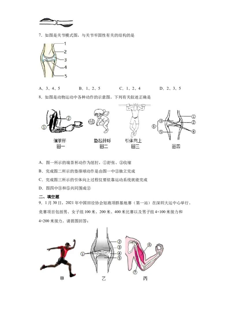 5.2.1动物的运动（练习）（原卷版）_初中全科电子版试卷练习试题_生物_生物8上练习_人教生物8年级上课时练习37份_第1套八年级生物上册课时练习（人教版）16份