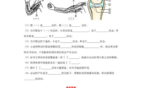 5.2.1动物的运动（练习）（原卷版）_初中全科电子版试卷练习试题_生物_生物8上练习_人教生物8年级上课时练习37份_第1套八年级生物上册课时练习（人教版）16份
