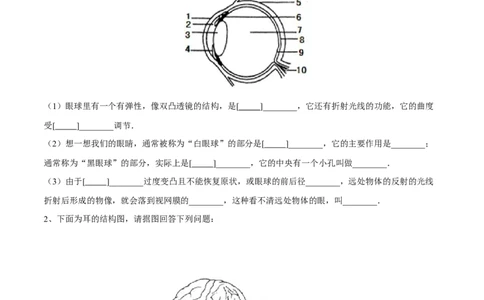 4.6.1人体对外界环境的感知（原卷版）_初中全科电子版试卷练习试题_生物_生物人教版7下练习_人教生物7年级下课时练习40份_第2套七年级生物下册课时练习（人教版）20份