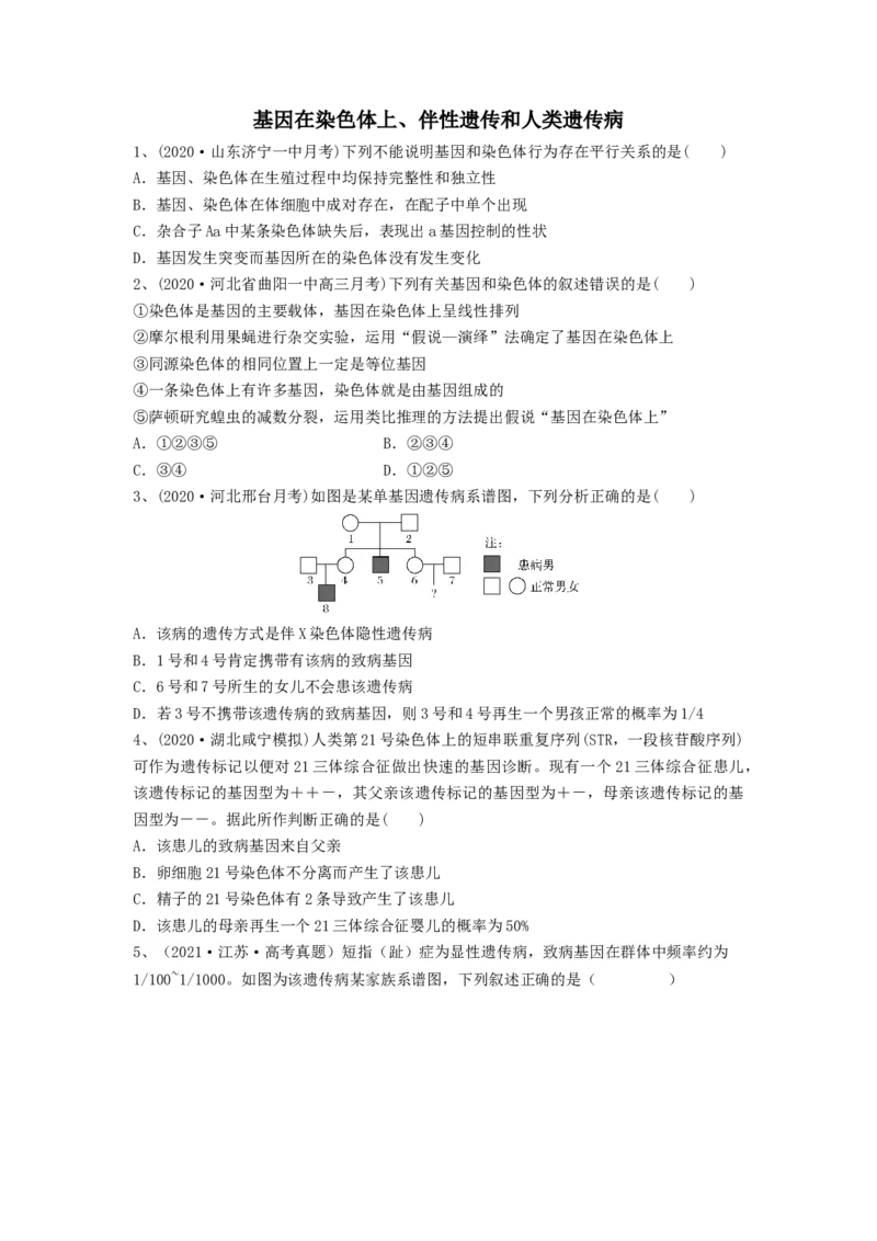 专题16基因在染色体上、伴性遗传和人类遗传病（精练）（原卷版）_新高考复习资料_2024年新高考复习资料_一轮复习资料_完备战2024年高考生物一轮复习串讲精练（新高考专用）_精练