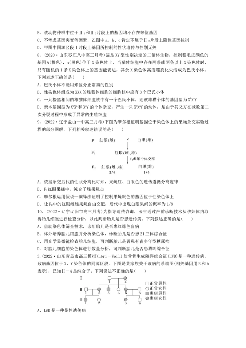 专题16基因在染色体上、伴性遗传和人类遗传病（精练）（原卷版）_新高考复习资料_2024年新高考复习资料_一轮复习资料_完备战2024年高考生物一轮复习串讲精练（新高考专用）_精练