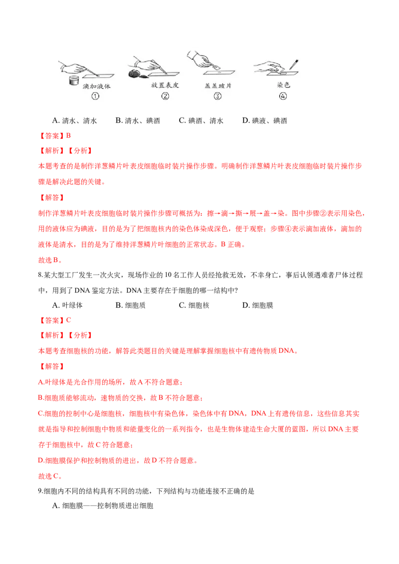 专题2.1.2植物细胞（解析版）_初中全科电子版试卷练习试题_生物_生物人教版7上练习&mdash;24新版已更新_人教生物7年级上课时练习39份_七年级生物上册课时练习（人教版）18份