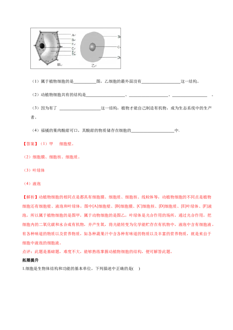 专题2.1.2植物细胞（解析版）_初中全科电子版试卷练习试题_生物_生物人教版7上练习&mdash;24新版已更新_人教生物7年级上课时练习39份_七年级生物上册课时练习（人教版）18份