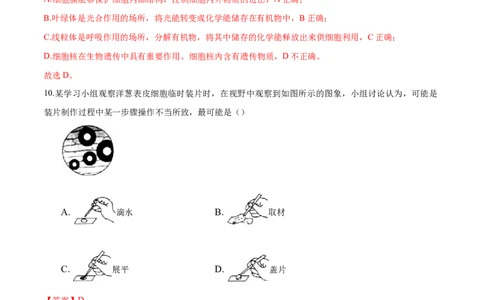 专题2.1.2植物细胞（解析版）_初中全科电子版试卷练习试题_生物_生物人教版7上练习&mdash;24新版已更新_人教生物7年级上课时练习39份_七年级生物上册课时练习（人教版）18份