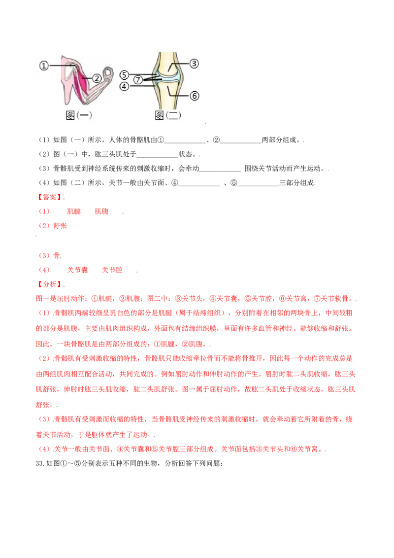 专题06重难点突破-（人教版）（解析版）_初中全科电子版试卷练习试题_生物_生物8上练习_人教生物8年级上专项练习23份_第1套八年级生物上册专项（人教版）09份