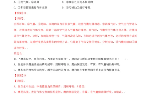 专题06重难点突破-（人教版）（解析版）_初中全科电子版试卷练习试题_生物_生物8上练习_人教生物8年级上专项练习23份_第1套八年级生物上册专项（人教版）09份