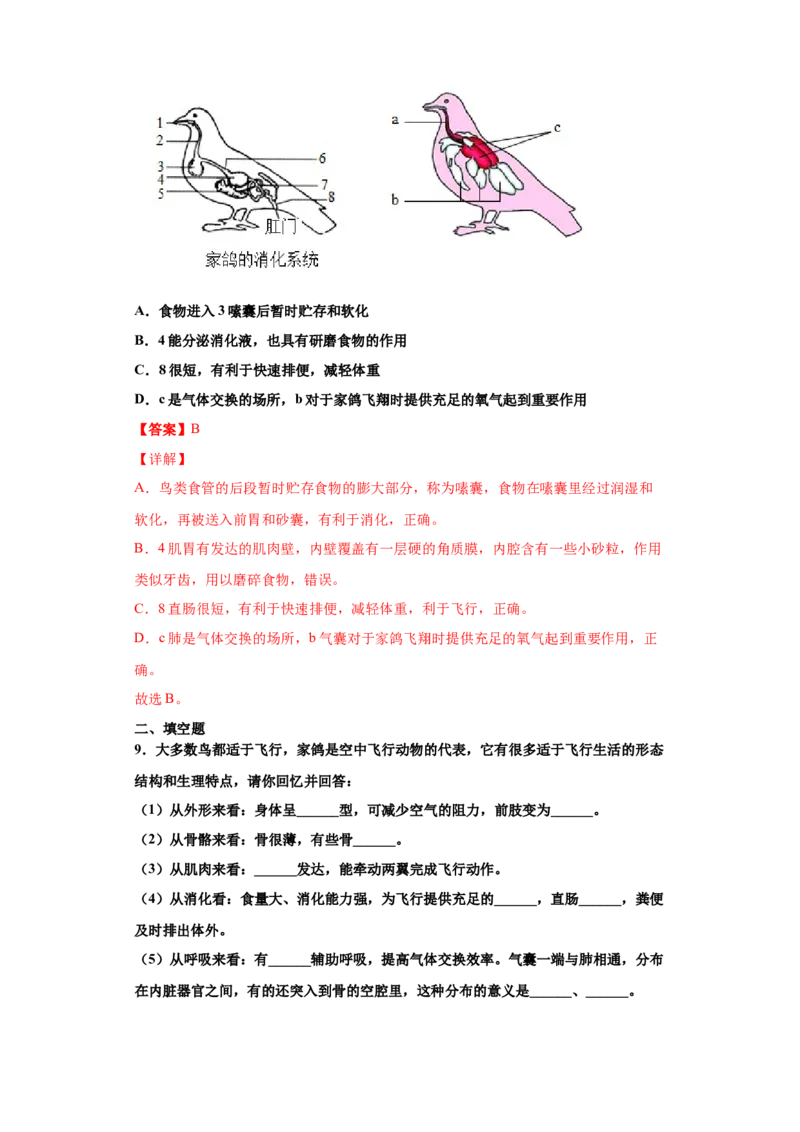 5.1.6鸟（练习）（解析版）_初中全科电子版试卷练习试题_生物_生物8上练习_人教生物8年级上课时练习37份_第1套八年级生物上册课时练习（人教版）16份