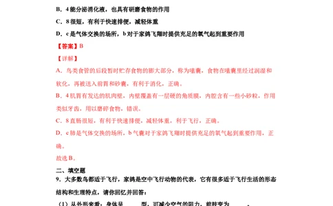 5.1.6鸟（练习）（解析版）_初中全科电子版试卷练习试题_生物_生物8上练习_人教生物8年级上课时练习37份_第1套八年级生物上册课时练习（人教版）16份