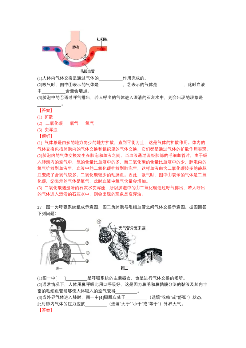 4.3.2发生在肺内的气体交换（人教版）（解析版）_初中全科电子版试卷练习试题_生物_生物人教版7下练习_人教生物7年级下课时练习40份
