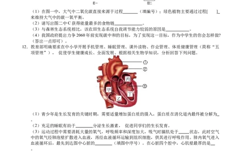 2024年中考押题预测卷（徐州卷）-生物（考试版A4）_初中全科电子版试卷练习试题_生物_2024中考模拟题生物(1)_押题预测