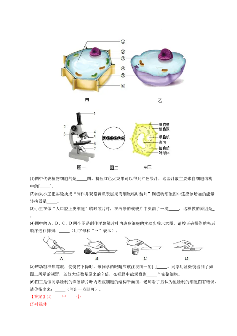 七年级生物期末模拟卷02（全解全析）（人教版2024）_初中全科电子版试卷练习试题_生物_生物人教版7上练习&mdash;24新版已更新_人教生物7年级上期末试卷11份