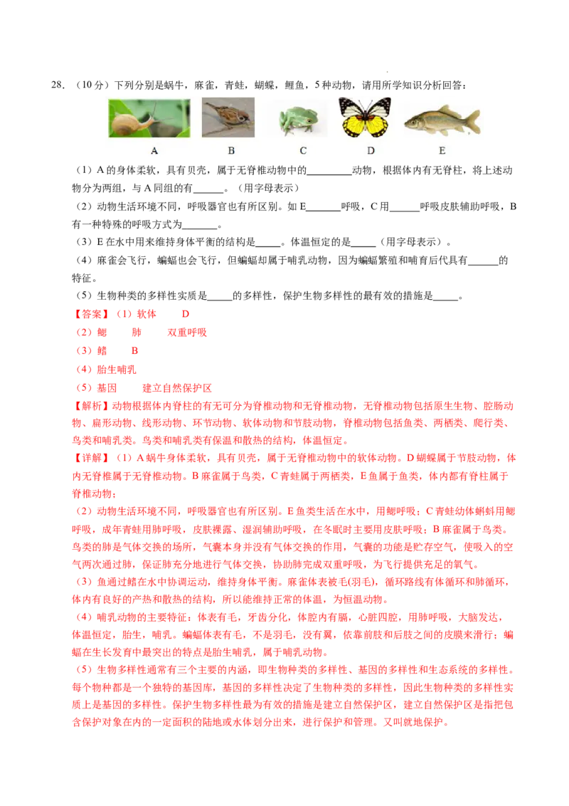 七年级生物期末模拟卷02（全解全析）（人教版2024）_初中全科电子版试卷练习试题_生物_生物人教版7上练习&mdash;24新版已更新_人教生物7年级上期末试卷11份