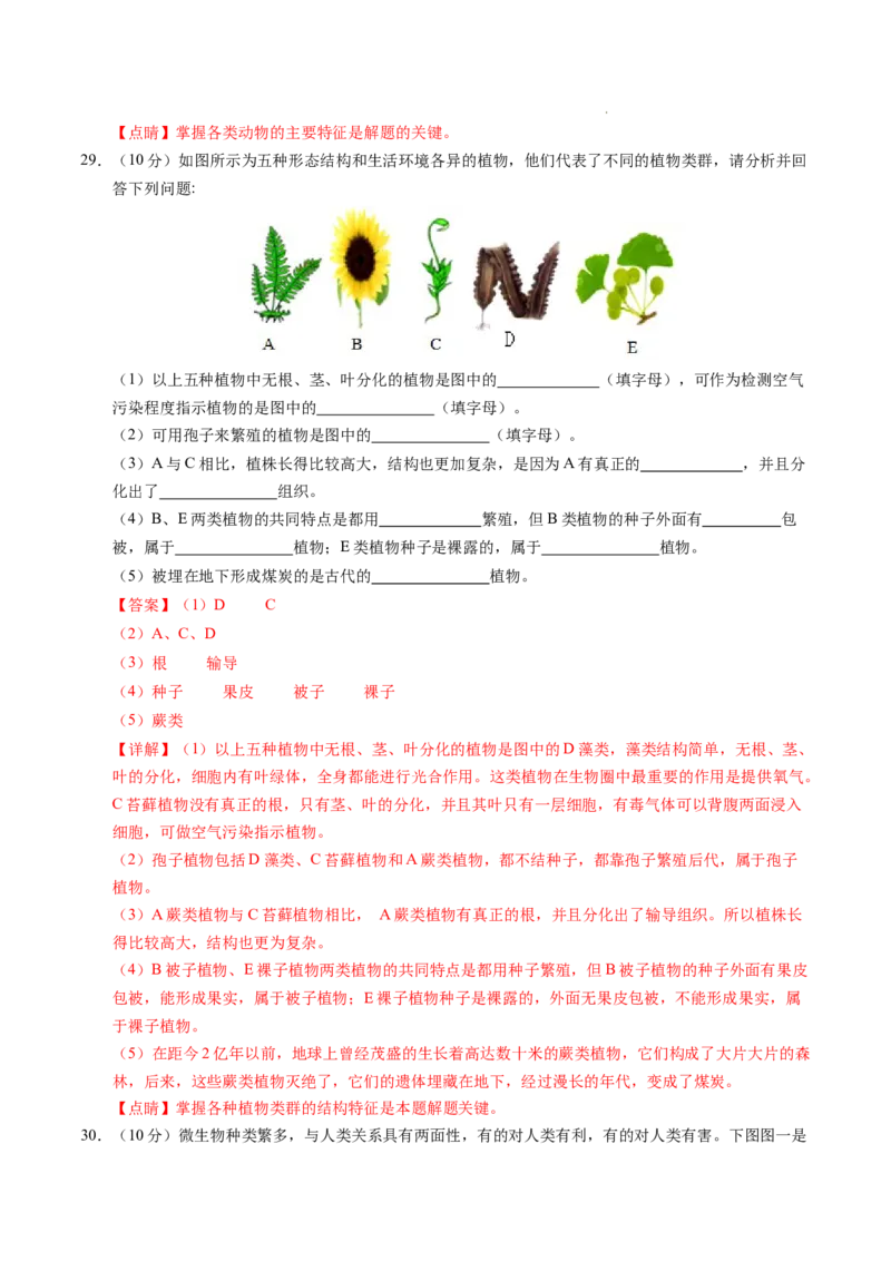 七年级生物期末模拟卷02（全解全析）（人教版2024）_初中全科电子版试卷练习试题_生物_生物人教版7上练习&mdash;24新版已更新_人教生物7年级上期末试卷11份