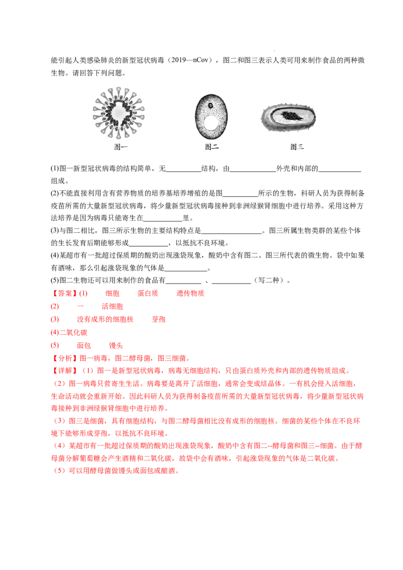 七年级生物期末模拟卷02（全解全析）（人教版2024）_初中全科电子版试卷练习试题_生物_生物人教版7上练习&mdash;24新版已更新_人教生物7年级上期末试卷11份