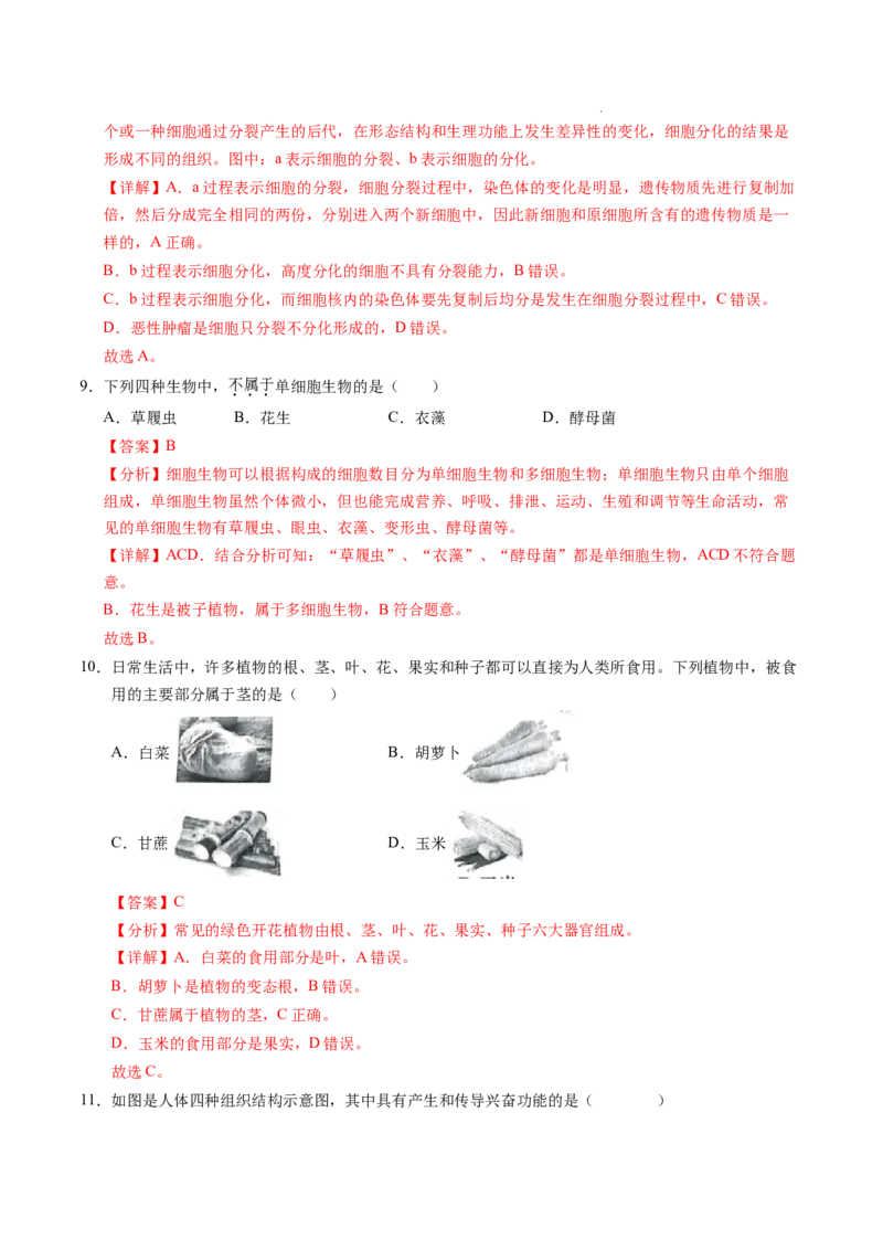 七年级生物期末模拟卷02（全解全析）（人教版2024）_初中全科电子版试卷练习试题_生物_生物人教版7上练习&mdash;24新版已更新_人教生物7年级上期末试卷11份