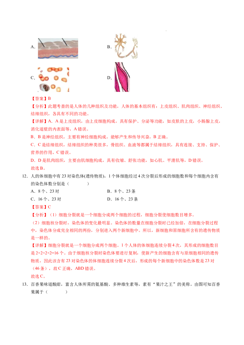 七年级生物期末模拟卷02（全解全析）（人教版2024）_初中全科电子版试卷练习试题_生物_生物人教版7上练习&mdash;24新版已更新_人教生物7年级上期末试卷11份