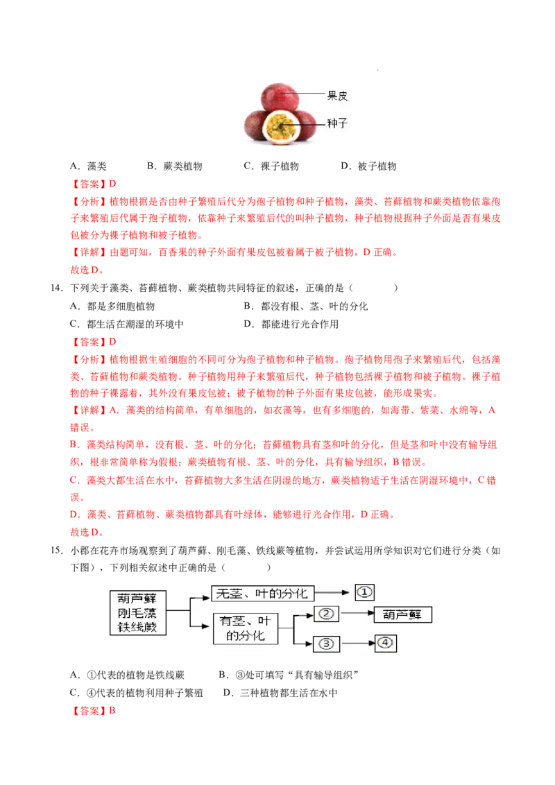 七年级生物期末模拟卷02（全解全析）（人教版2024）_初中全科电子版试卷练习试题_生物_生物人教版7上练习&mdash;24新版已更新_人教生物7年级上期末试卷11份