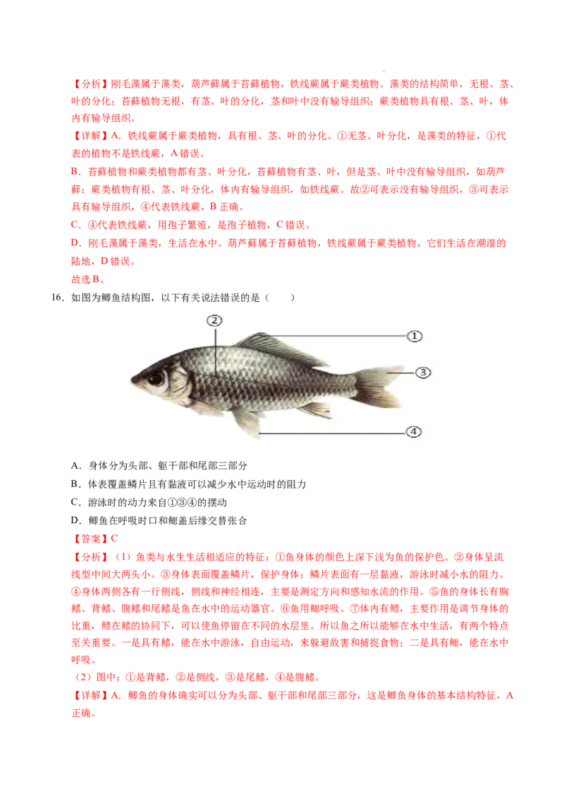 七年级生物期末模拟卷02（全解全析）（人教版2024）_初中全科电子版试卷练习试题_生物_生物人教版7上练习&mdash;24新版已更新_人教生物7年级上期末试卷11份