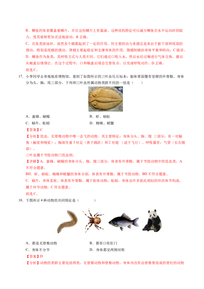 七年级生物期末模拟卷02（全解全析）（人教版2024）_初中全科电子版试卷练习试题_生物_生物人教版7上练习&mdash;24新版已更新_人教生物7年级上期末试卷11份