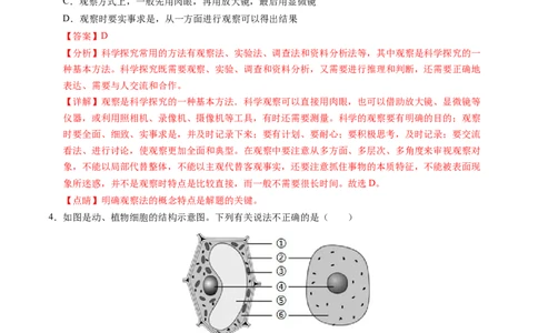 七年级生物期末模拟卷02（全解全析）（人教版2024）_初中全科电子版试卷练习试题_生物_生物人教版7上练习&mdash;24新版已更新_人教生物7年级上期末试卷11份
