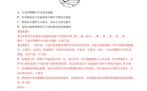 七年级生物期末模拟卷02（全解全析）（人教版2024）_初中全科电子版试卷练习试题_生物_生物人教版7上练习&mdash;24新版已更新_人教生物7年级上期末试卷11份