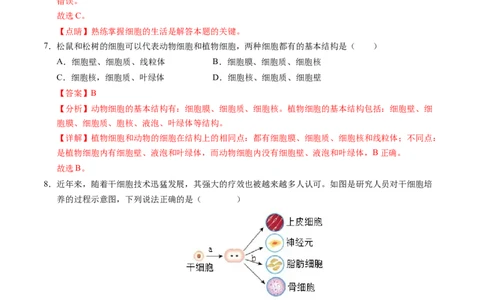 七年级生物期末模拟卷02（全解全析）（人教版2024）_初中全科电子版试卷练习试题_生物_生物人教版7上练习&mdash;24新版已更新_人教生物7年级上期末试卷11份