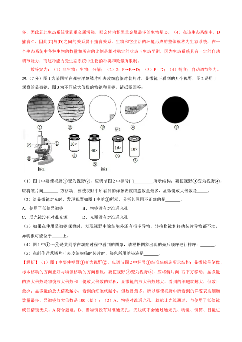 七年级上册人教版期中测试02（解析版）_初中全科电子版试卷练习试题_生物_生物人教版7上练习&mdash;24新版已更新_人教生物7年级上期中试卷07份