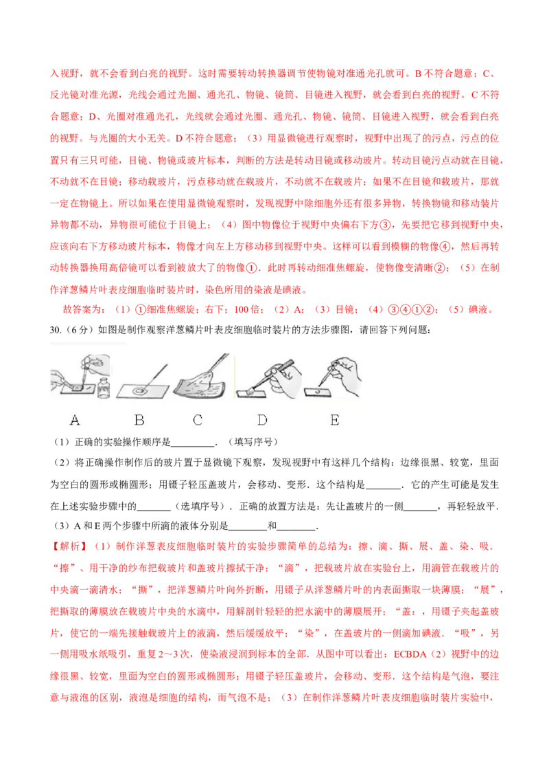 七年级上册人教版期中测试02（解析版）_初中全科电子版试卷练习试题_生物_生物人教版7上练习&mdash;24新版已更新_人教生物7年级上期中试卷07份