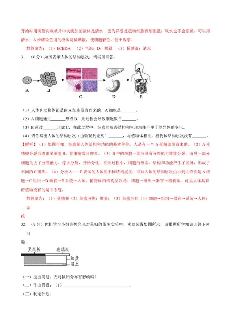 七年级上册人教版期中测试02（解析版）_初中全科电子版试卷练习试题_生物_生物人教版7上练习&mdash;24新版已更新_人教生物7年级上期中试卷07份