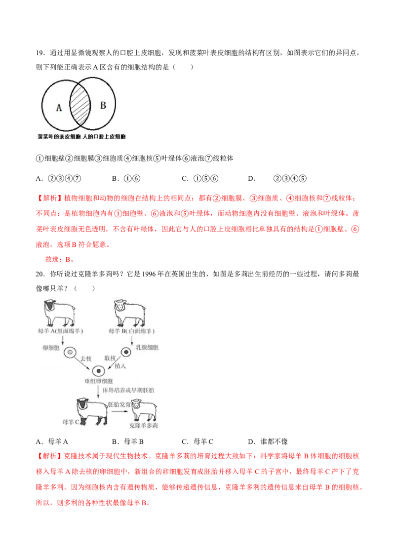 七年级上册人教版期中测试02（解析版）_初中全科电子版试卷练习试题_生物_生物人教版7上练习&mdash;24新版已更新_人教生物7年级上期中试卷07份