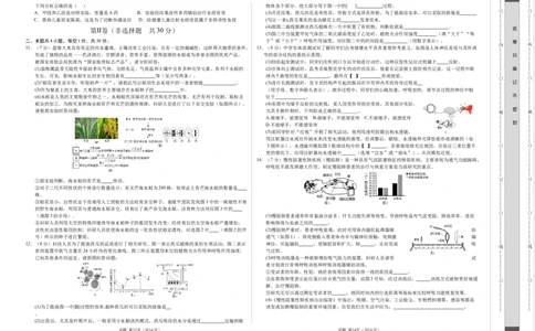 2024年中考押题预测卷（湖北卷）-生物（考试版）A3_初中全科电子版试卷练习试题_生物_2024中考模拟题生物(1)_押题预测