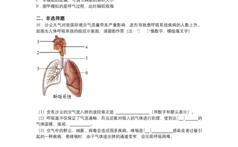 4.3.1呼吸道对空气的处理-（人教版）（原卷版）_初中全科电子版试卷练习试题_生物_生物人教版7下练习_人教生物7年级下课时练习40份