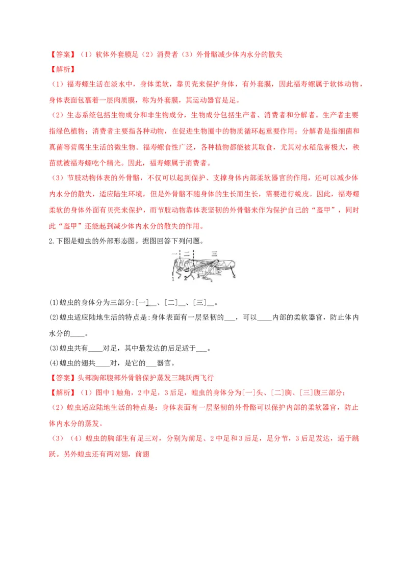 5.1.3软体动物和节肢动物（备作业）-（人教版）（解析版）_初中全科电子版试卷练习试题_生物_生物8上练习_人教生物8年级上课时练习37份