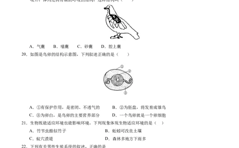 2024年中考押题预测卷（河北卷01）-生物（考试版）A4_初中全科电子版试卷练习试题_生物_2024中考模拟题生物(1)_押题预测
