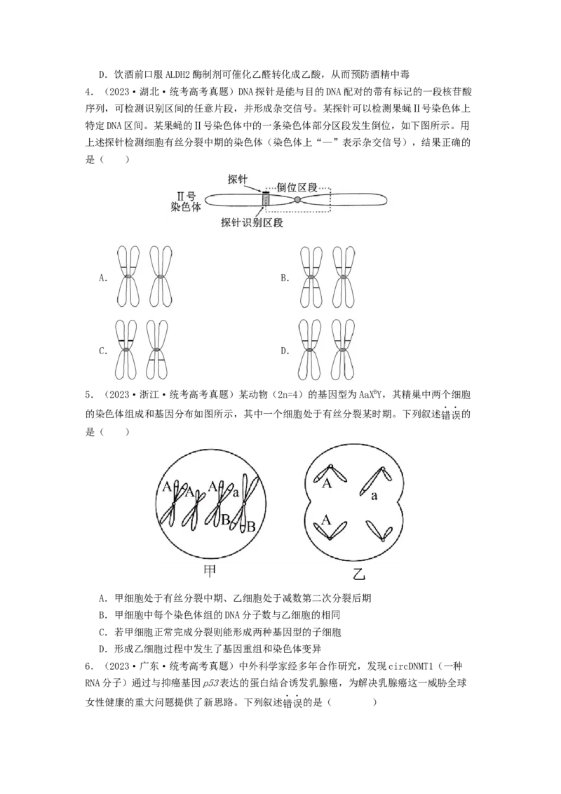 专题15变异、育种和进化（原卷版）_通用版（老高考）复习资料_2024年复习资料_完备战2024年高考生物一轮复习抢分特训（全国通用）