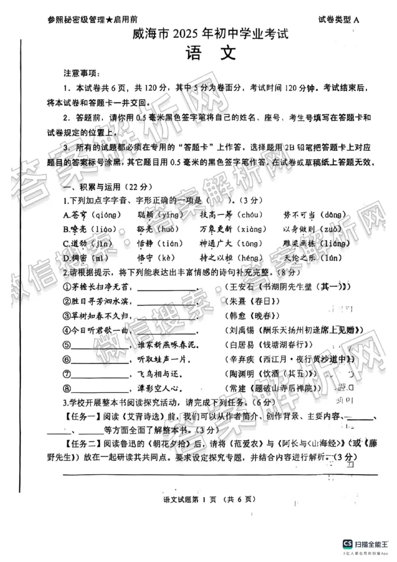 2025年威海市中考语文真题原卷_山东历年中考真题_山东省2025中考题_威海市