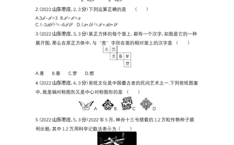 2022枣庄数学试卷+答案+解析(word整理版)_山东历年中考真题_山东省历年中考真题2013~2024_初中数学历年真题（2013-2024）